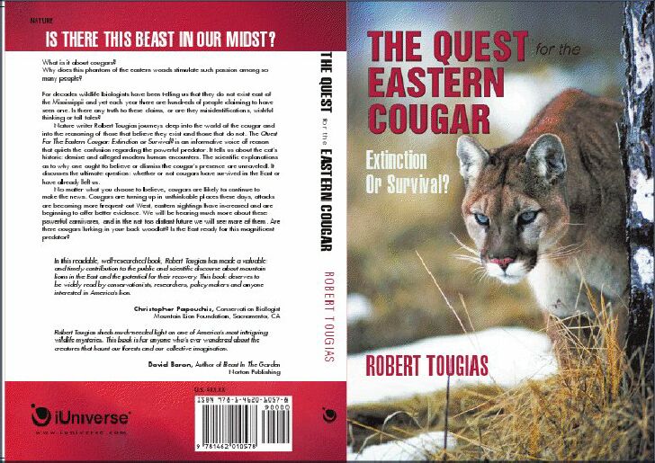 The Quest Eastern Cougar