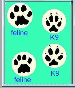 Difference between K9 and feline tracks 