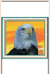 Click on Bald Eagle for enlargement.