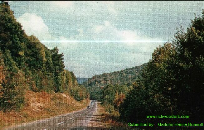 Monongahela National Forest (North of Richwood</a>) Postcard