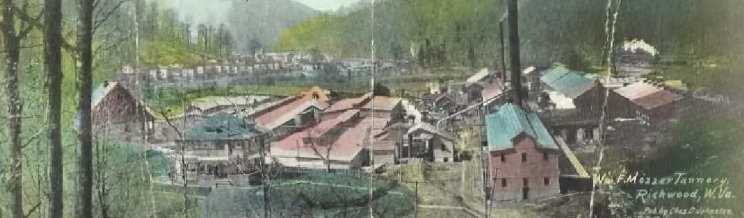 Picture of the Wm. F. Mozzer Tannery